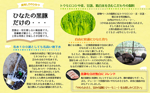 【料理王国100選に選出!!】ひなたの黒豚 本ロース詰め合わせ 880g（豚肉 黒豚 豚 しゃぶしゃぶ用 しゃぶしゃぶ とんかつ用 ロース 小分け）