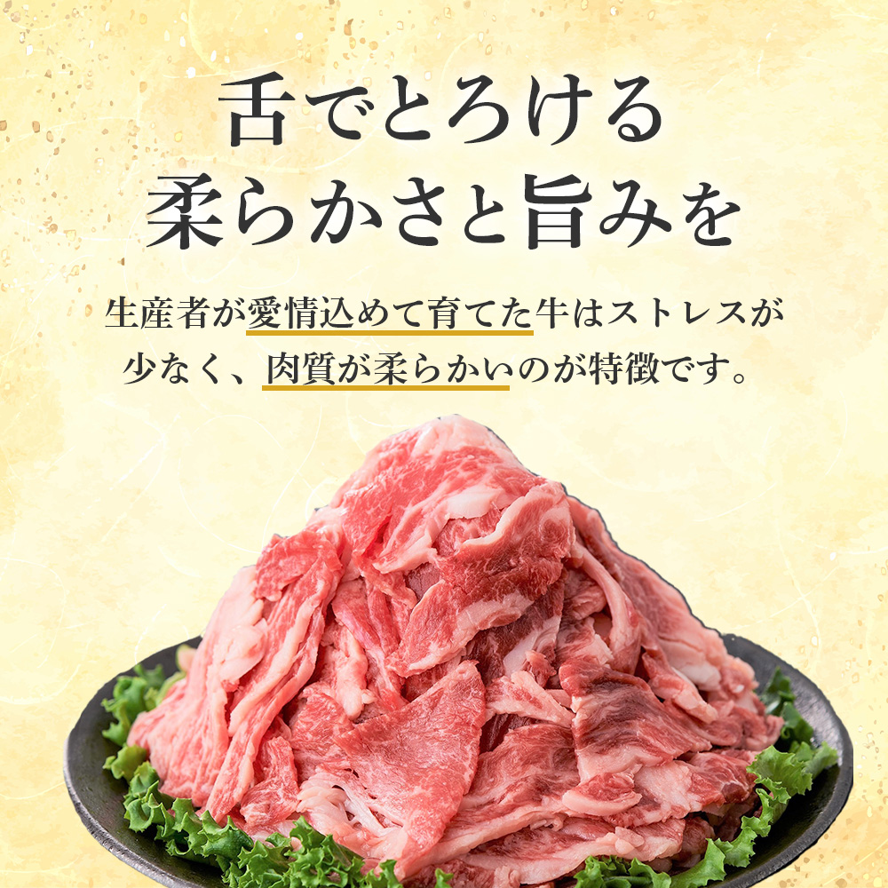 【小分けで便利！】国産黒毛和牛切り落とし 600g （ 国産 牛 牛肉 黒毛和牛 切り落とし 真空 小分け 冷凍 宮崎県 小林市 ）