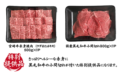 【特別提供品】宮崎牛お任せ赤身焼肉と黒毛和牛小間切れセット