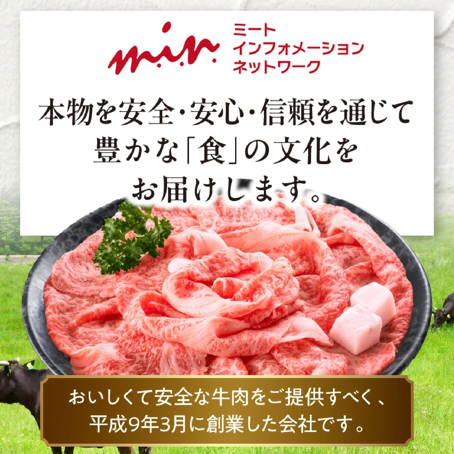 【A5等級宮崎牛】サーロインステーキ・芯ロースステーキセット800g（小林市産）(ミヤザキギュウサーロイン シンロース)