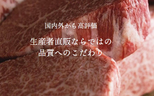 【A4等級以上】宮崎牛おためし焼肉 500g×2P（国産 牛肉 肉 宮崎牛 黒毛和牛 赤身 モモ ウデ 焼肉 人気 特別提供）