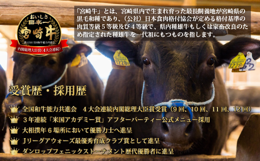 【A4等級以上】宮崎牛 おためし すき焼き 500g×2P（国産 牛肉 肉 宮崎牛 黒毛和牛 モモ ウデ 赤身 すき焼き 人気 特別提供）