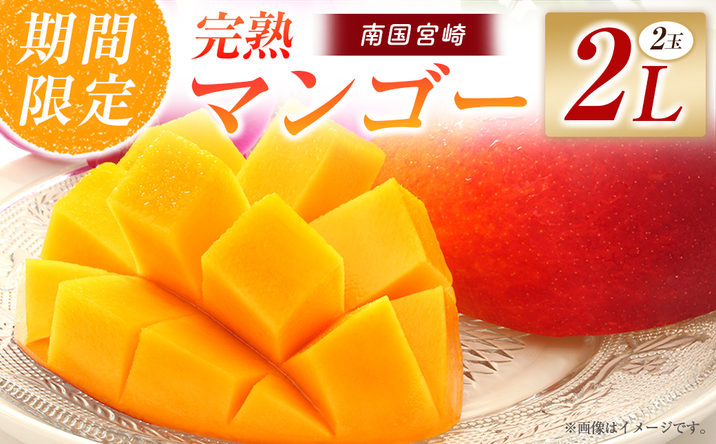 【令和8年発送 先行予約】完熟マンゴー 2L×2玉（フルーツ マンゴー 完熟マンゴー アップルマンゴー 果物 くだもの 先行受付）