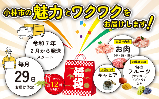 【定期便・全12回】新春おたのしみ 福袋 竹（牛肉 豚肉 鶏肉 果物 フルーツ 2025 限定 定期便 宮崎 小林市）