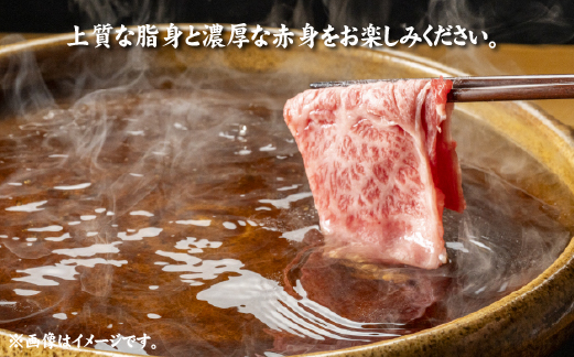 【A4等級以上】宮崎牛肩ロースしゃぶしゃぶ用 500g（国産 牛肉 宮崎牛 黒毛和牛 ロース しゃぶしゃぶ 霜降り 赤身 人気）