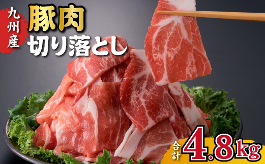 九州産豚肉切り落とし 4.8kg（300g×16P 国産 豚肉 切り落とし 人気 大容量 真空パック 簡易包装 冷凍）