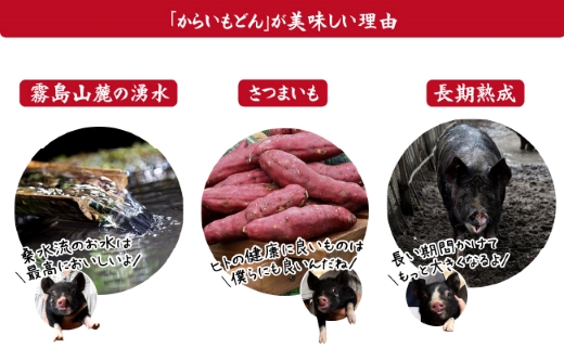 【厳選ブランド黒豚】”黒豚からいもどん”ヒレ　500ｇ（国産 豚肉 小分け  黒豚 ヒレ ステーキ とんかつ  ヒレカツ 希少部位 宮崎 小林市 人気  冷凍）