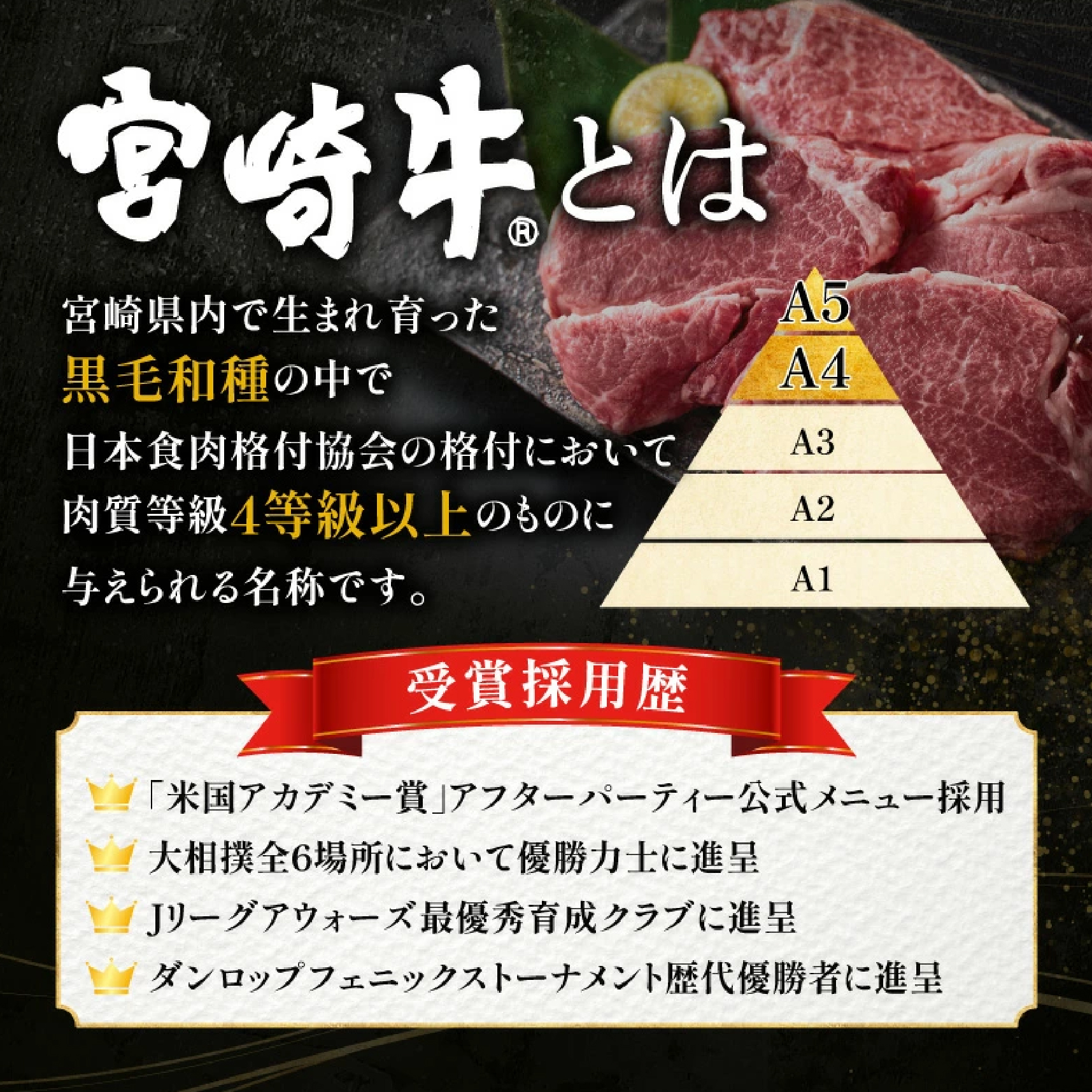 【A5等級宮崎牛】赤身ステーキ450g（小林市産）(ミヤザキギュウアカミステーキ)