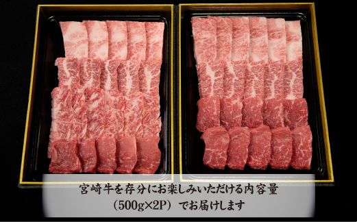 【A4等級以上】宮崎牛おためし焼肉 500g×2P（国産 牛肉 肉 宮崎牛 黒毛和牛 赤身 モモ ウデ 焼肉 人気 特別提供）