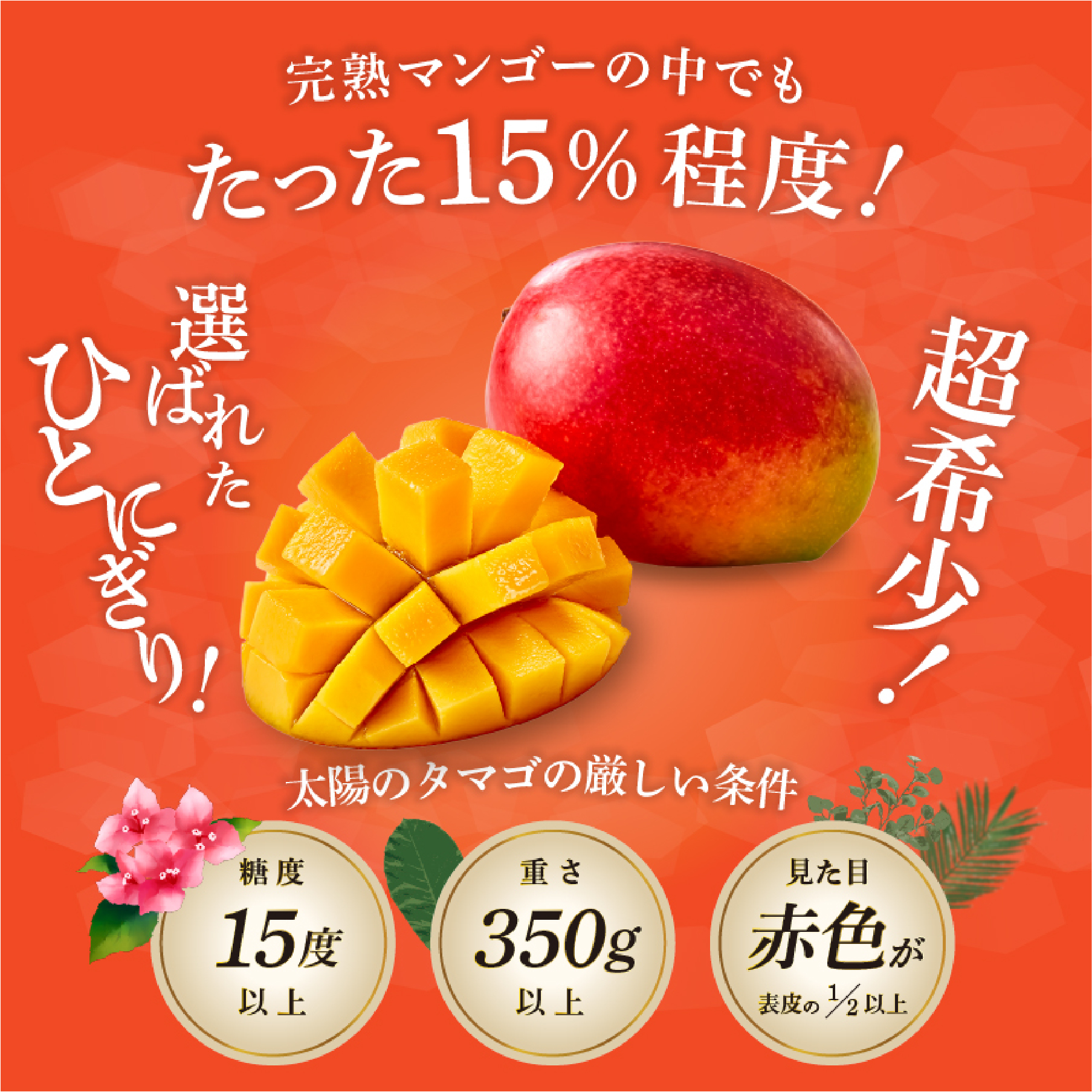 【数量限定・先行受付】厳選大玉宮崎完熟マンゴー「太陽のタマゴ」 2玉　計1kg程度（マンゴー フルーツ マンゴー予約 先行予約 2026 太陽のタマゴ 宮崎 小林市 果物 人気）