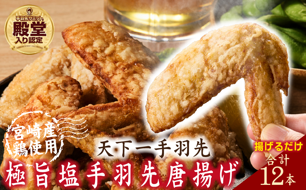 【手羽先サミット殿堂入り！】極旨塩 手羽先 唐揚げ 12本（国産 鶏肉 手羽 手羽先 唐揚げ 塩 味付き 限定 冷凍）