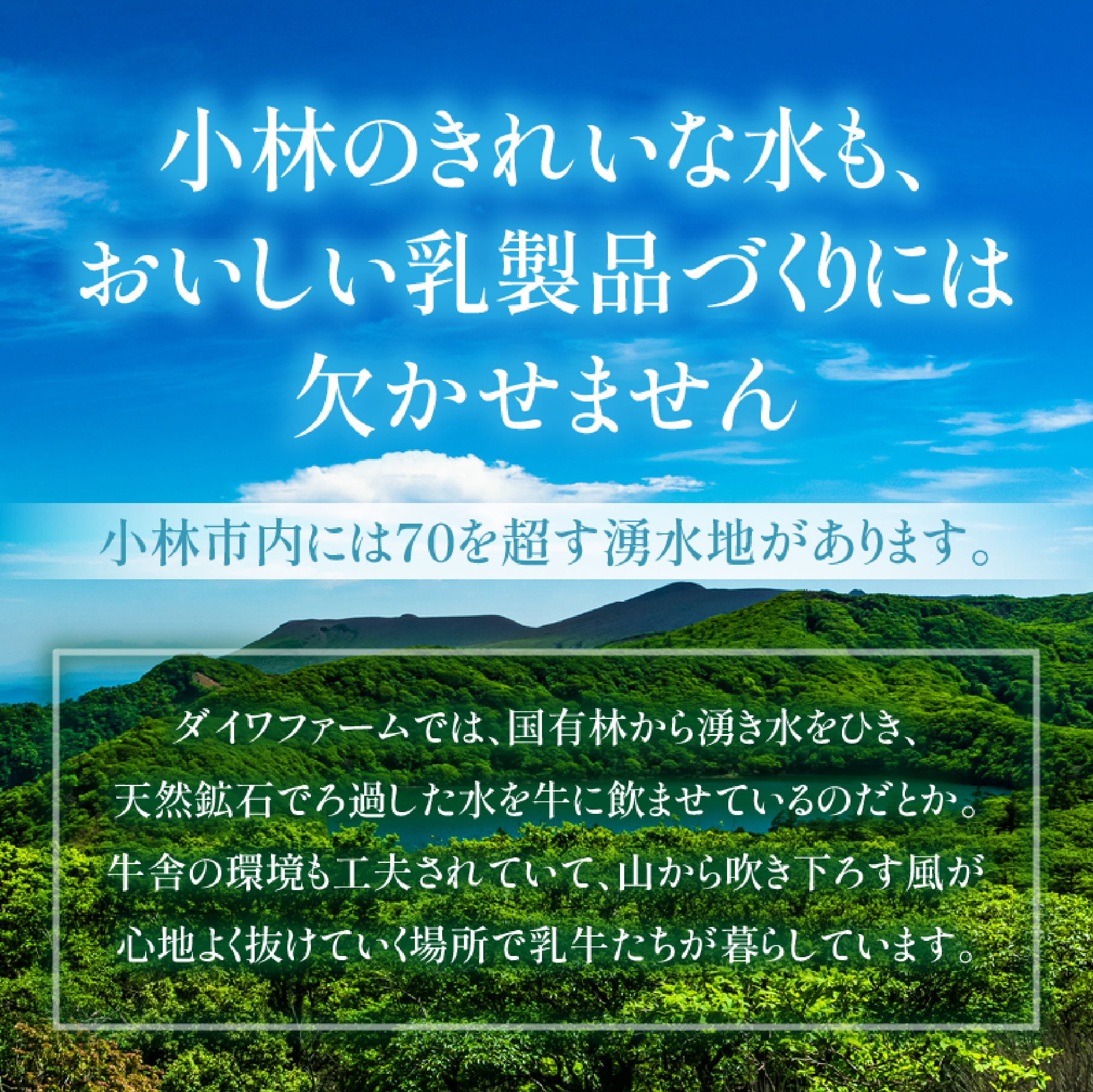【大人気！】新鮮ミルクのアイスもなかセット 12個（スイーツ デザート アイス もなか 牛乳 ミルク 人気 宮崎 小林市 地域限定）
