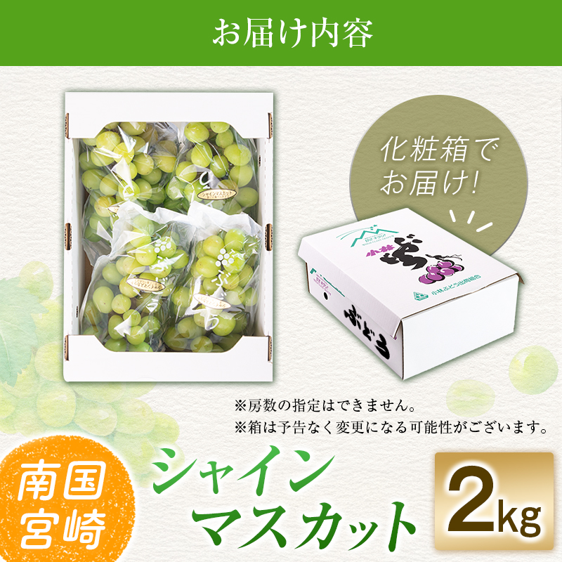 ã什å8幎çºé å
è¡äºçŽãå°æåžç£ ã·ã£ã€ã³ãã¹ã«ãã 2kgïŒãã㊠ã¶ã©ã ã·ã£ã€ã³ãã¹ã«ãã ãã¹ã«ãã ãã«ãŒã æç© å
è¡åä» éå®ïŒ