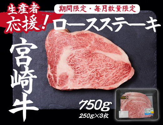 【生産者応援】宮崎牛ロースステーキ750g（250g×3枚 宮崎牛 和牛 国産 牛肉 霜降り ステーキ ロース 冷凍 送料無料）