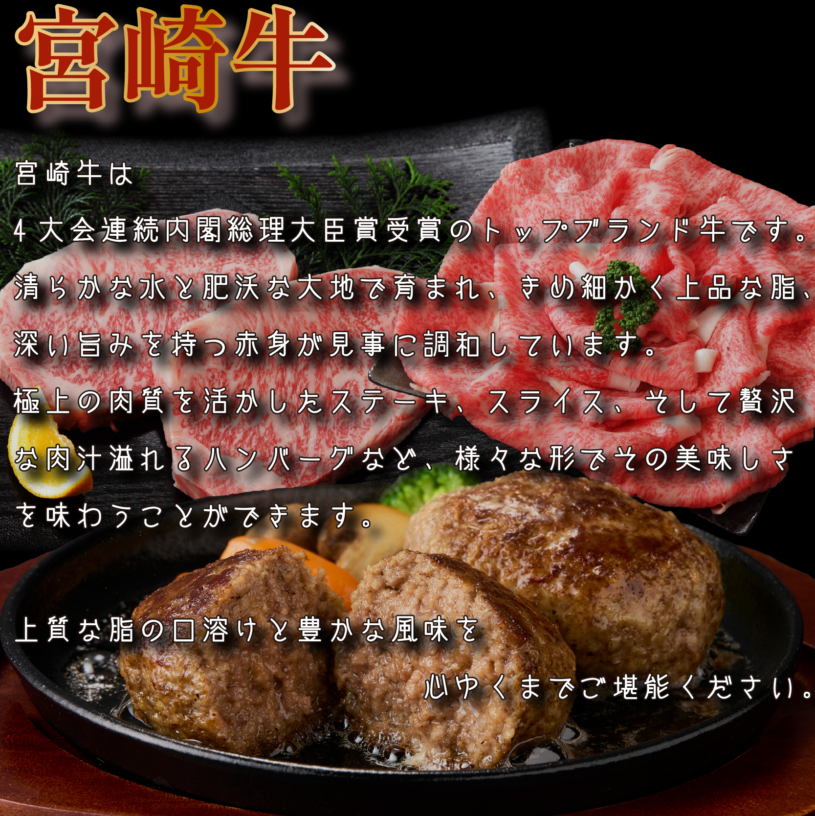 【定期便・全11回】日本一宮崎牛と小林市の魅力満載!!! 小林満足ワクワク定期便 30万円コース（国産 牛肉 国産牛 黒毛和牛 マンゴー お菓子 豚肉 鶏肉 キャビア 定期便）