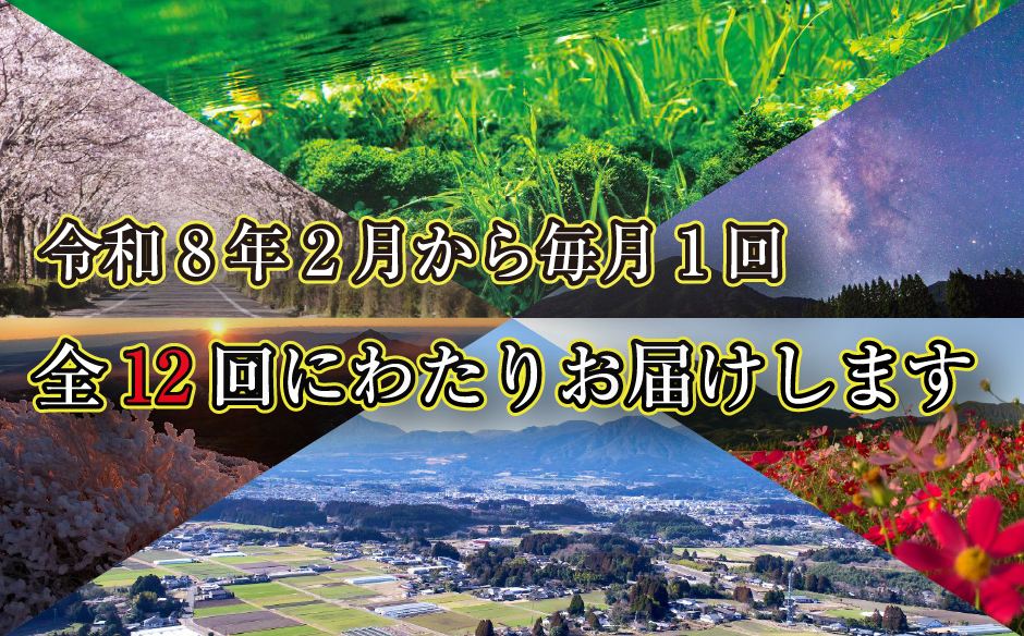 【定期便・全12回】新春おたのしみ お年玉コース 金（牛肉 豚肉 鶏肉 フルーツ スイーツ 2026 定期便 先行予約 宮崎 小林市）