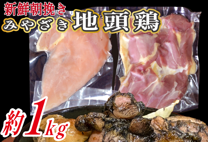 【宮崎ブランド地鶏】朝挽き ”みやざき地頭鶏” もも・むねおためしセット 約1kg（国産 鶏 鶏肉 地頭鶏 モモ ムネ 焼肉 BBQ）