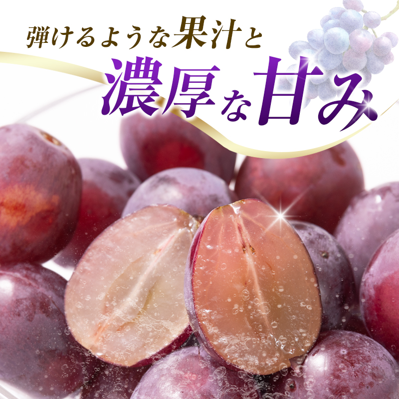 ã什å8幎çºé å
è¡äºçŽãå°æåžç£ ããªãŒã 2kgïŒã¶ã©ã ãã㊠ããªãŒã ãã«ãŒã æç© ãã ãã® å
è¡åä» éå®ïŒ