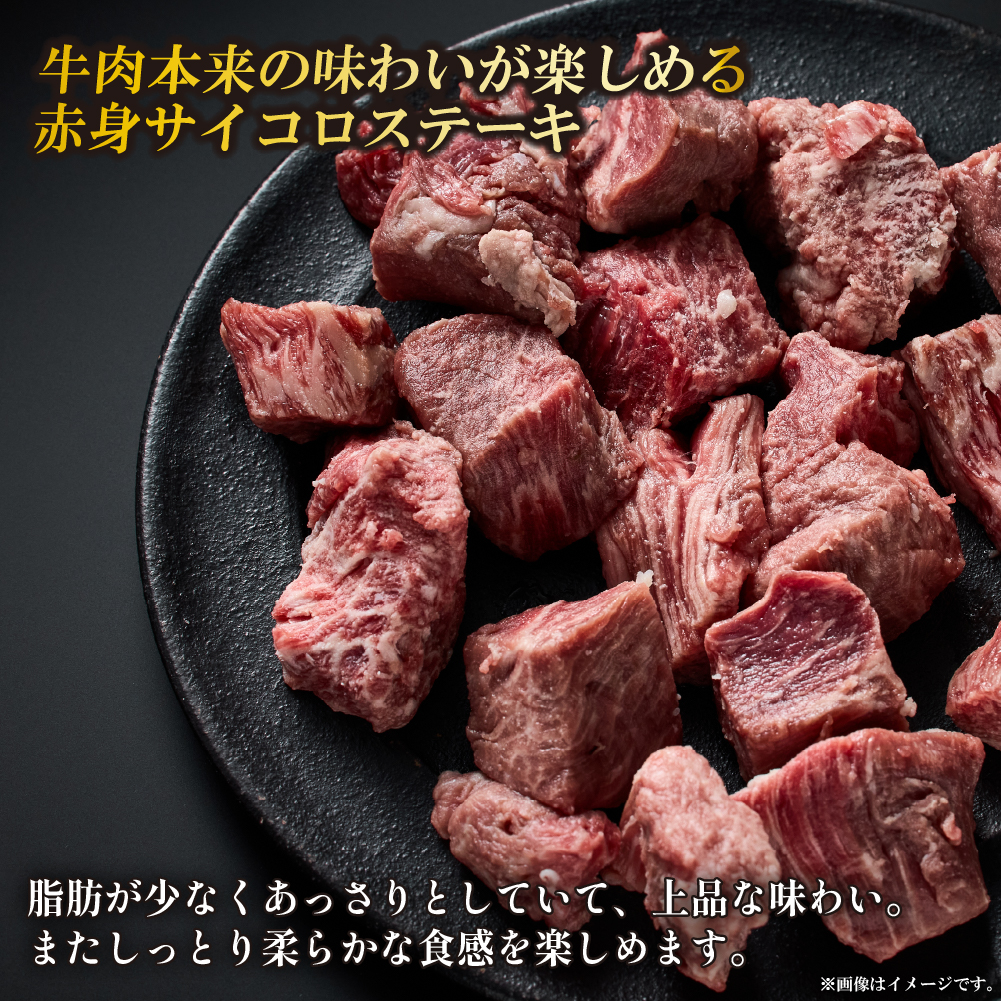 【A4等級以上】宮崎牛赤身サイコロステーキ 300g×2P 計600g（内閣総理大臣賞 A4 A5 宮崎牛 牛肉 黒毛和牛 ステーキ 赤身 霜降り 宮崎県）