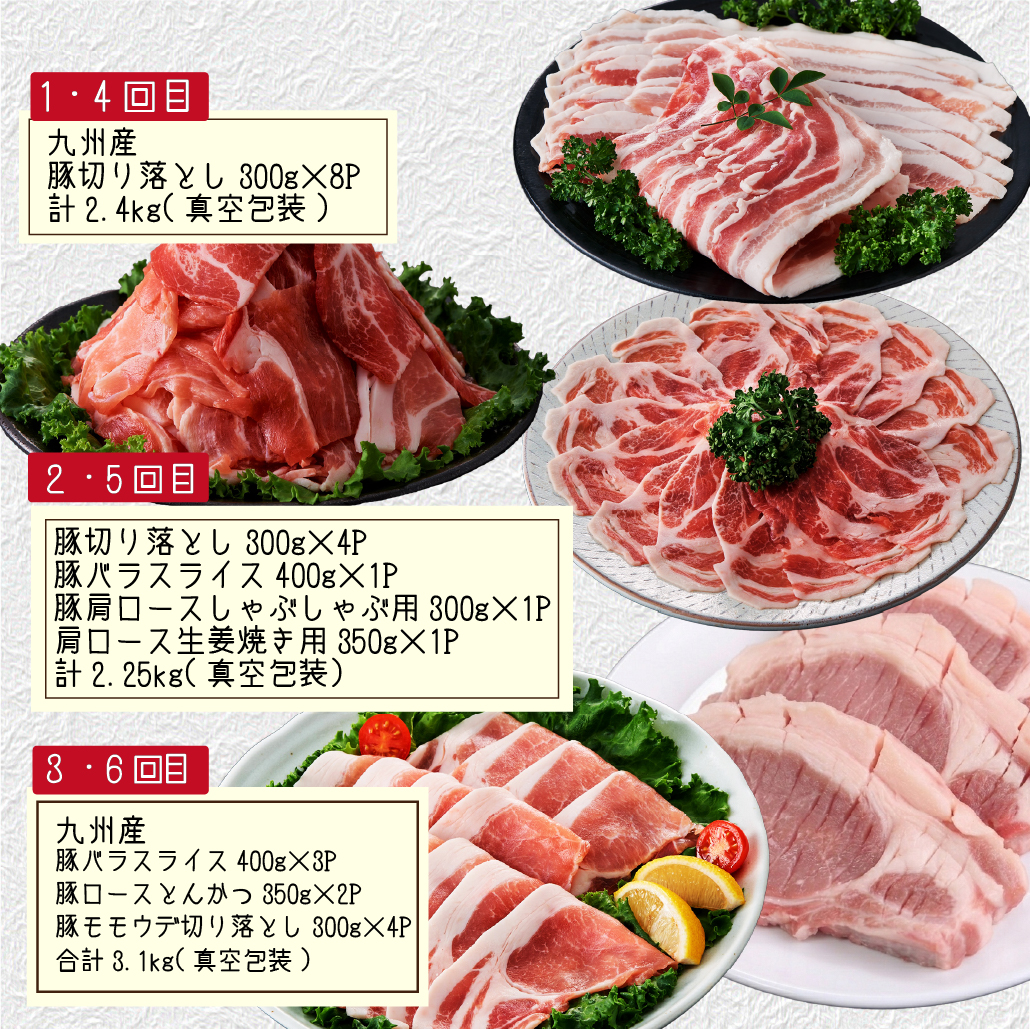 【定期便全6回】生活支援定期便15.5kg(豚切り落とし 豚バラスライス 豚肩ロース しゃぶしゃぶ 肩ロース生姜焼き 豚ロースとんかつ 豚モモウデ切り落とし 国産 九州産）)