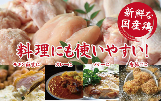 【卸屋／簡易包装／業務用】国県産鶏大満足バラエティセット 計3.7㎏（鶏肉 鶏 もも むね ささみ ミンチ 唐揚げ 人気）