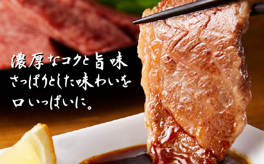 【A4等級以上】宮崎牛おためし焼肉 500g×2P（国産 牛肉 肉 宮崎牛 黒毛和牛 赤身 モモ ウデ 焼肉 人気 特別提供）