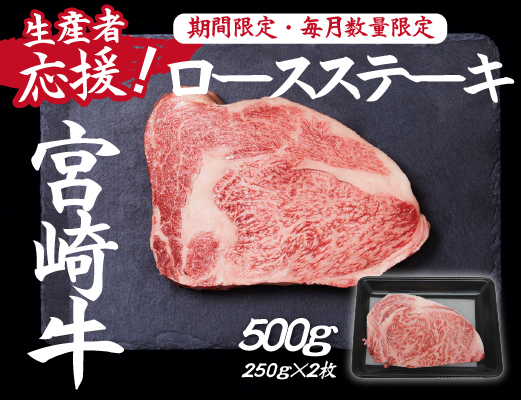 【生産者応援】宮崎牛ロースステーキ500g（250g×2枚 宮崎牛 和牛 国産 牛肉 霜降り ステーキ ロース 冷凍 送料無料）