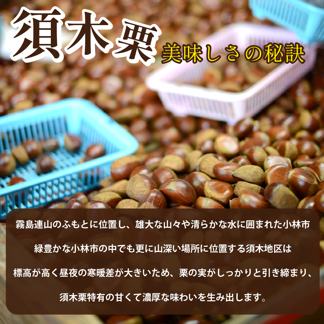 【低温熟成】ブランド栗「須木栗」3Lサイズ 2kg程度（生栗 マロン 栗 果物 フルーツ 限定 秋 旬）