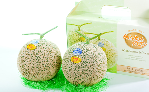 【先行受付・宮崎ブランドフルーツ】小林市産アールスメロン”めろめろメロン”　赤肉2玉セット 3.4kg程度（フルーツ メロン 2025 先行予約 果物 人気 限定 宮崎 小林市）