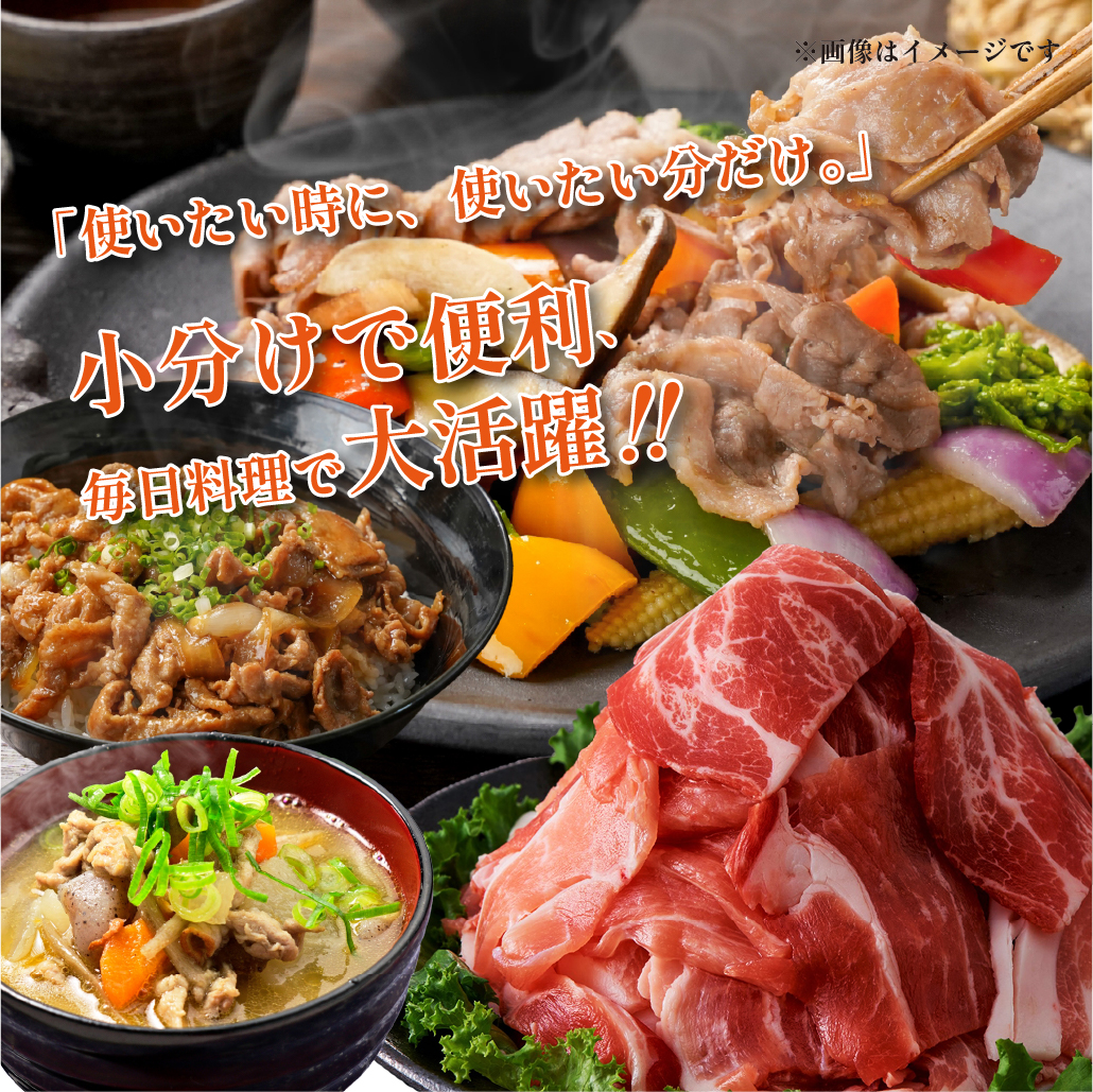 【定期便全6回】生活支援定期便15.5kg(豚切り落とし 豚バラスライス 豚肩ロース しゃぶしゃぶ 肩ロース生姜焼き 豚ロースとんかつ 豚モモウデ切り落とし 国産 九州産）)