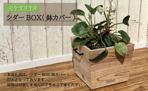 シダーBOX（鉢カバー）