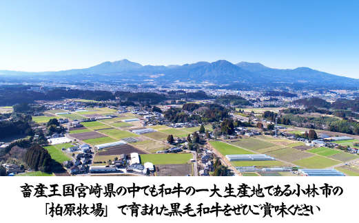 【自社農場和牛】メス指定黒毛和牛ハラミ　300g（国産 黒毛和牛 牛肉 ハラミ 焼肉 BBQ 冷凍 送料無料）