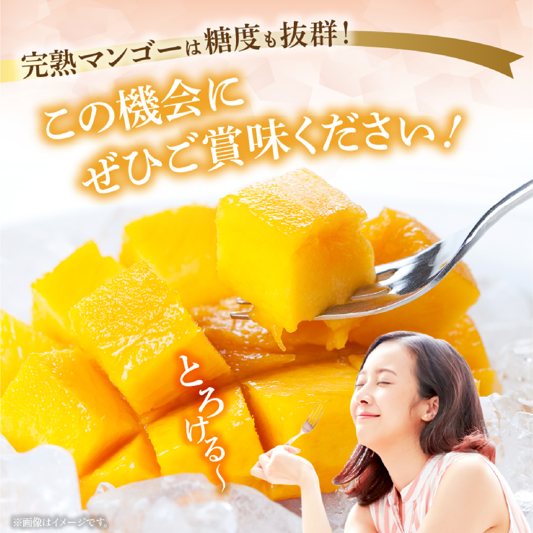 【2026年発送 先行予約】完熟マンゴー 3L×2玉（フルーツ マンゴー 完熟マンゴー アップルマンゴー 果物 くだもの 先行受付 2026 令和8年 宮崎）