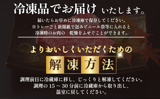 【10/1～寄附額改定】【数量限定】A4等級以上 宮崎牛赤身ステーキ 150g×4枚 ステーキソース付き（黒毛和牛 ブランド牛 牛肉 お肉 赤身 ステーキ 内閣総理大臣賞4大会連続受賞）