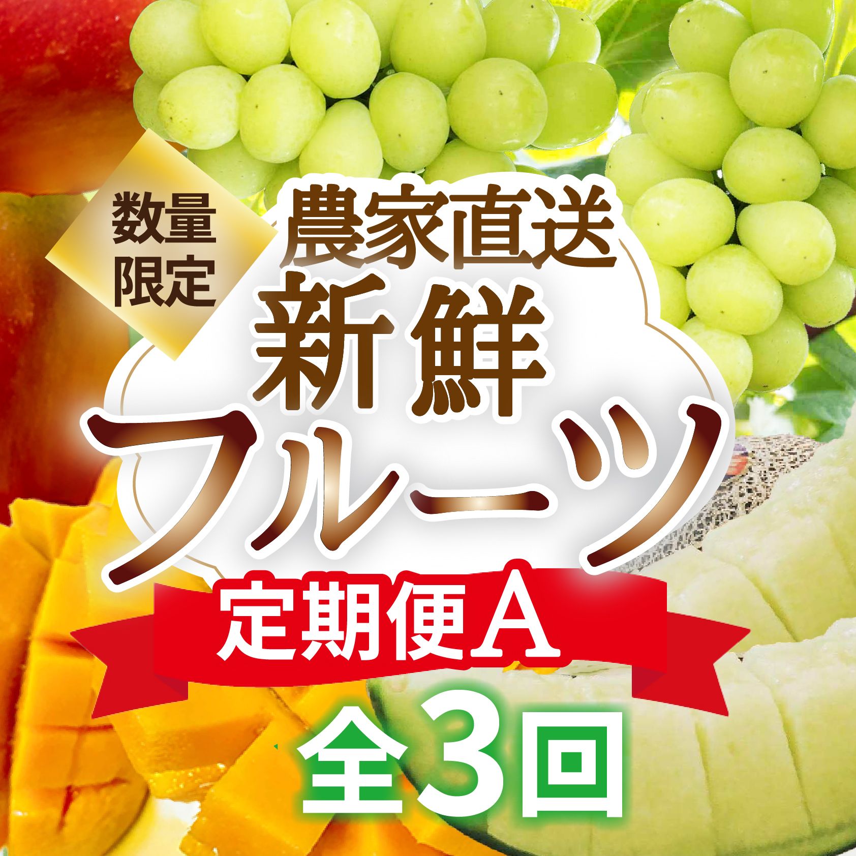 【定期便3回】契約農家直送の新鮮フルーツ定期便A（フルーツ 果物 くだもの マンゴー アップルマンゴー ブドウ ぶどう メロン 定期便）