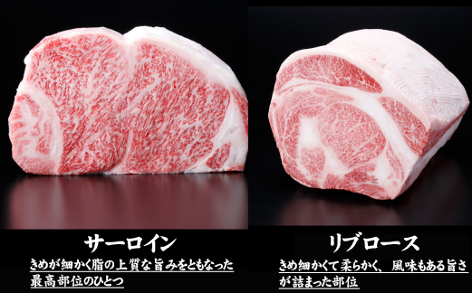 【生産者直送】なかにし和牛霜降り焼肉-特上-（産地直送 小林市産 国産 牛肉 和牛 霜降り 焼肉 送料無料）