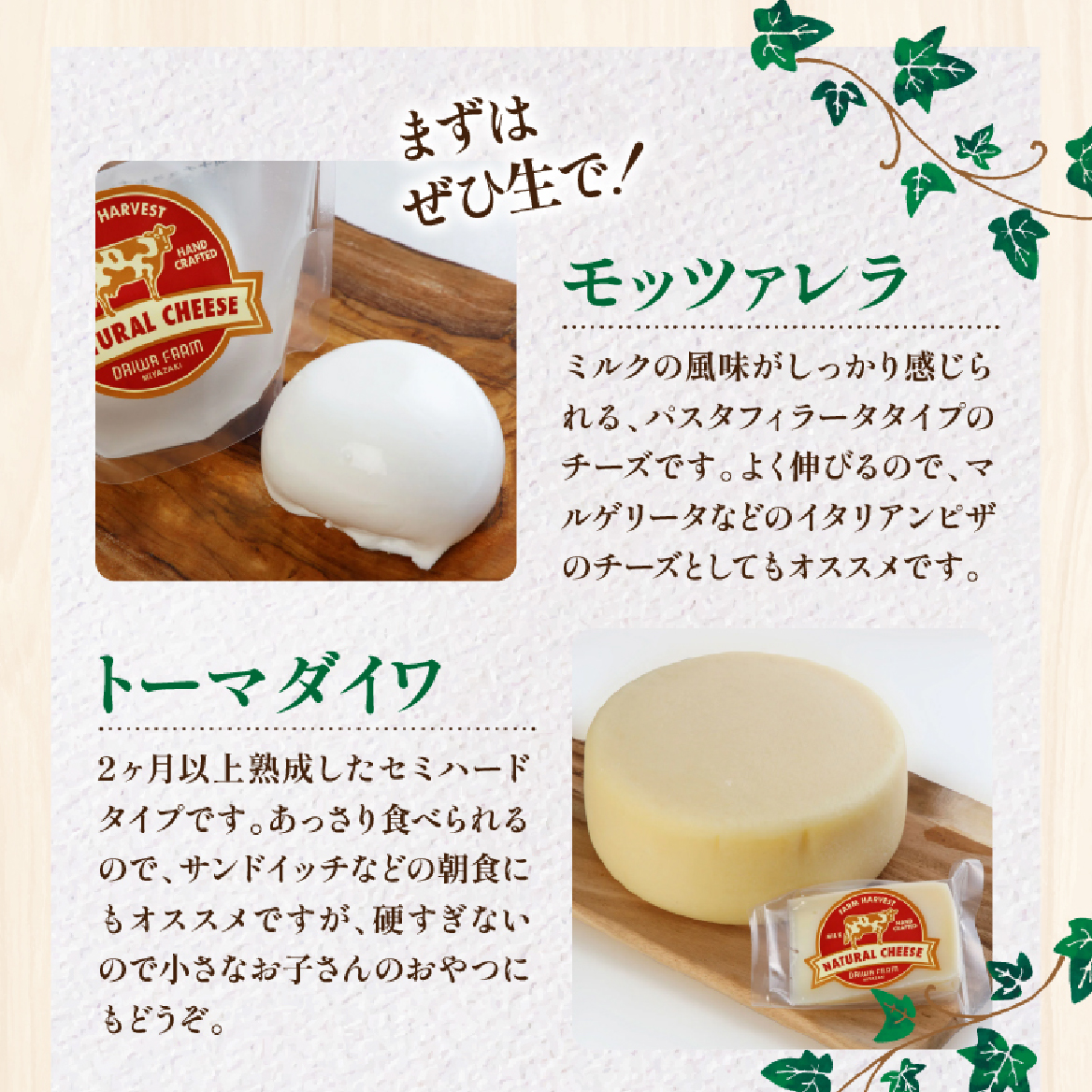 ãåœå
å€ã³ã³ãã¹ãåè³ïŒãå¥è·¡ã®ããŒãºã»ããïŒåœç£ ããã¥ã©ã«ããŒãº 乳補å ããŒãº ã³ã³ãã¹ãåè³ äººæ° é§å³¶ å®®åŽ å°æåž å°åéå®ïŒ