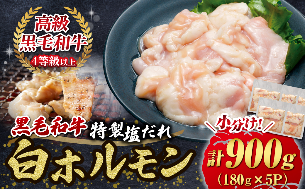 【自社農場和牛】黒毛和牛 特製塩だれ白ホルモン 900g（国産 黒毛和牛 宮崎牛 牛肉 塩だれ ホルモン 白ホルモン 冷凍 宮崎県 小林市）