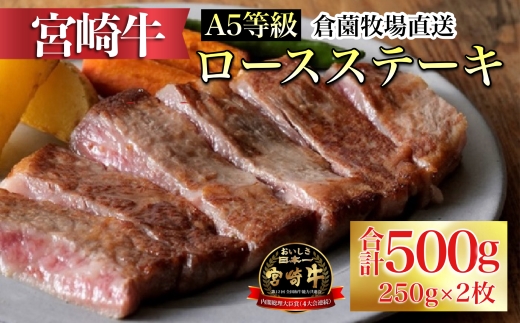 【C169・百名店の味をご自宅で！】A5等級宮崎牛ロースステーキ　250ｇ×2枚