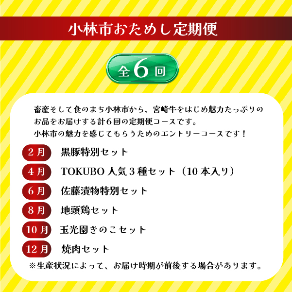 【定期便・全6回】小林市おためし定期便コース（国産 牛肉 国産牛 和牛 黒毛和牛 豚肉 鶏肉 お菓子 定期便）