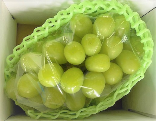 【先行受付・産直もぎたて】ご褒美シャインマスカット２房（約1.1kg ブドウ シャインマスカット 先行 予約 産地直送 新鮮）