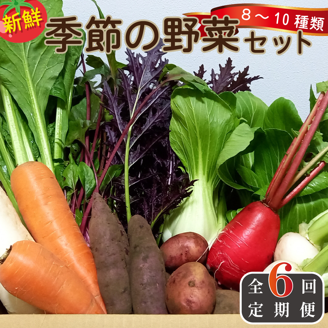 縲仙ョ壽悄萓ソ 蜈ィ6蝗槭大ュ」遽縺ョ驥手除隧ー繧∝粋繧上○繧サ繝繝茨シ域眠魄ョ 謗。繧後◆縺ヲ 驥手除 繧サ繝繝 螳壽悄萓ソ 隧ー繧∝粋繧上○ 螳ョ蟠守恁シ