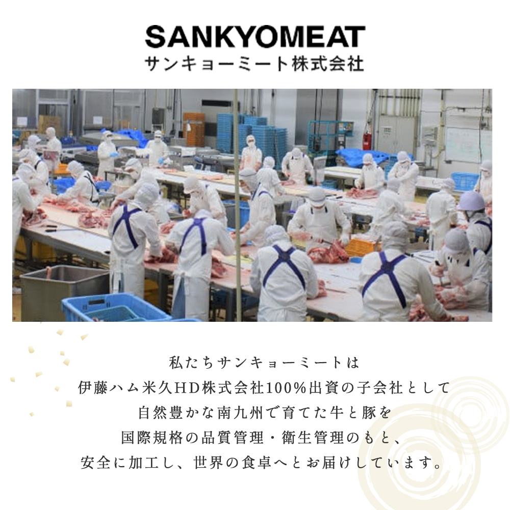 【小分けで便利！】国産黒毛和牛切り落とし 600g （ 国産 牛 牛肉 黒毛和牛 切り落とし 真空 小分け 冷凍 宮崎県 小林市 ）