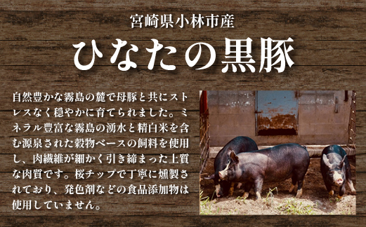 【地元ブランド豚使用】桜ベーコン 粗挽き黒胡椒 ブロックタイプ（黒豚 豚肉 ベーコン 燻製）