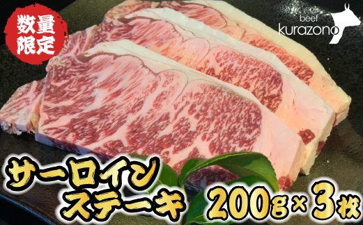 黒毛和牛サーロインステーキ 200g×3枚（牛肉 国産牛 黒毛和牛 宮崎和牛 サーロイン ステーキ 赤身 霜降り）