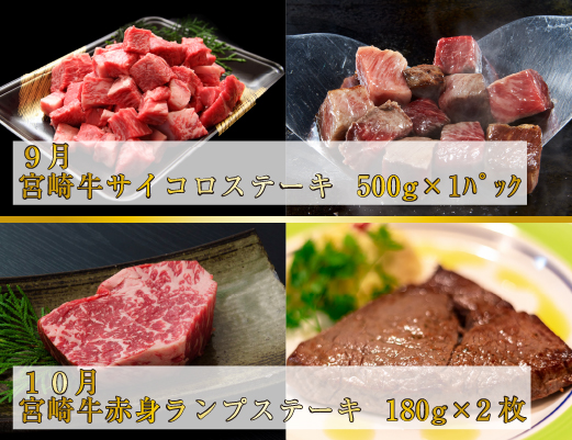 縲舌せ繝繝シ繧ュ螳壽悄萓ソ縲醍卆蜷榊コ励せ繝繝シ繧ュ繧ウ繝シ繧ケ 蜈ィ6蝗橸シ育央閧 鮟呈ッ帛柱迚 繝偵Ξ 繝「繝「 繧オ繝シ繝ュ繧、繝ウ 繝ュ繝シ繧ケ 繝上Φ繝舌シ繧ー 襍、霄ォ 蟶悟ー鷹Κ菴 螳壽悄萓ソシ