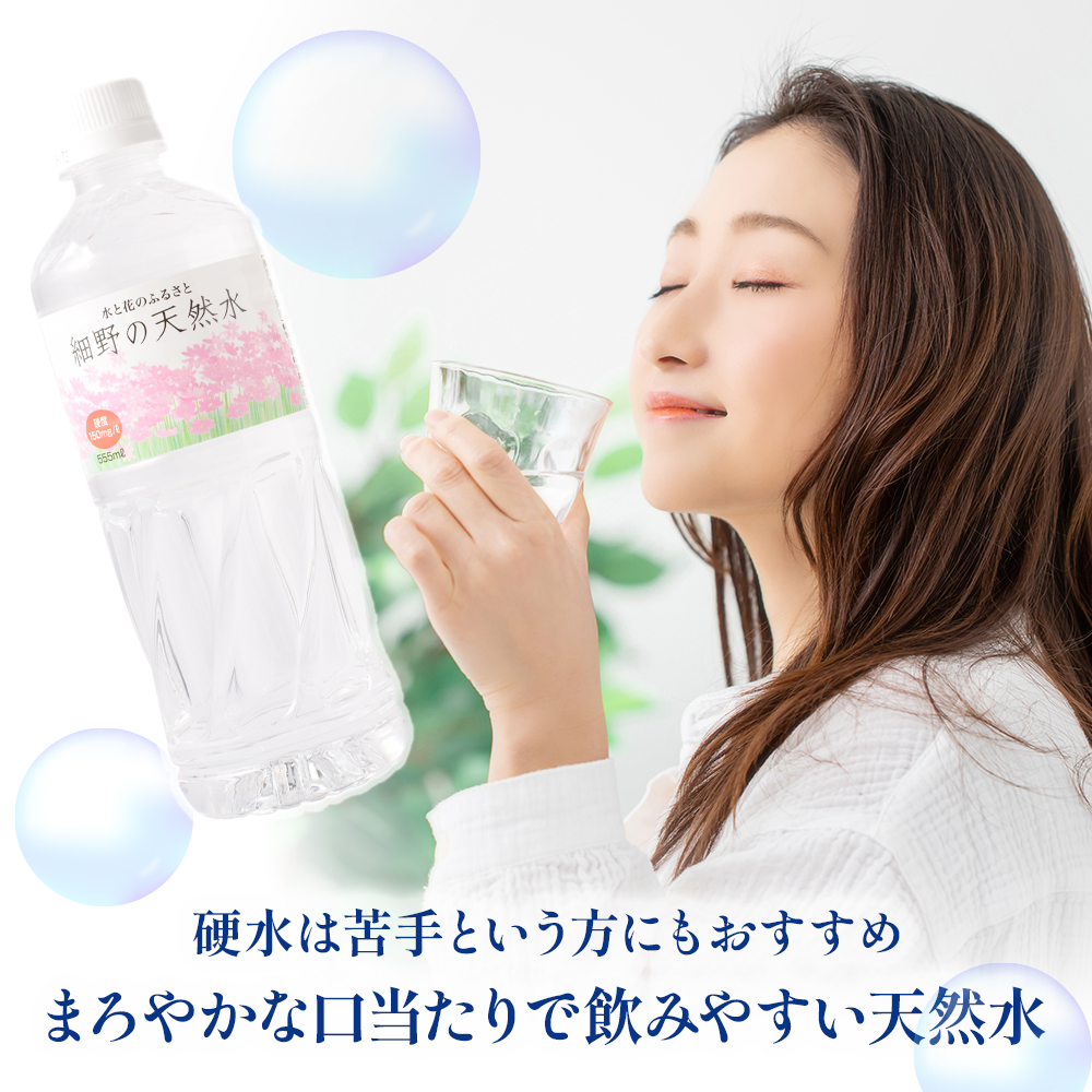 【ミネラルたっぷり天然水】細野の天然水 555ml×24本 2箱（国産 ナチュラルウォーター ミネラルウォーター ラベルレス 天然水 水 555ml 中硬水 シリカ 美容 人気 ペットボトル 霧島 宮崎）