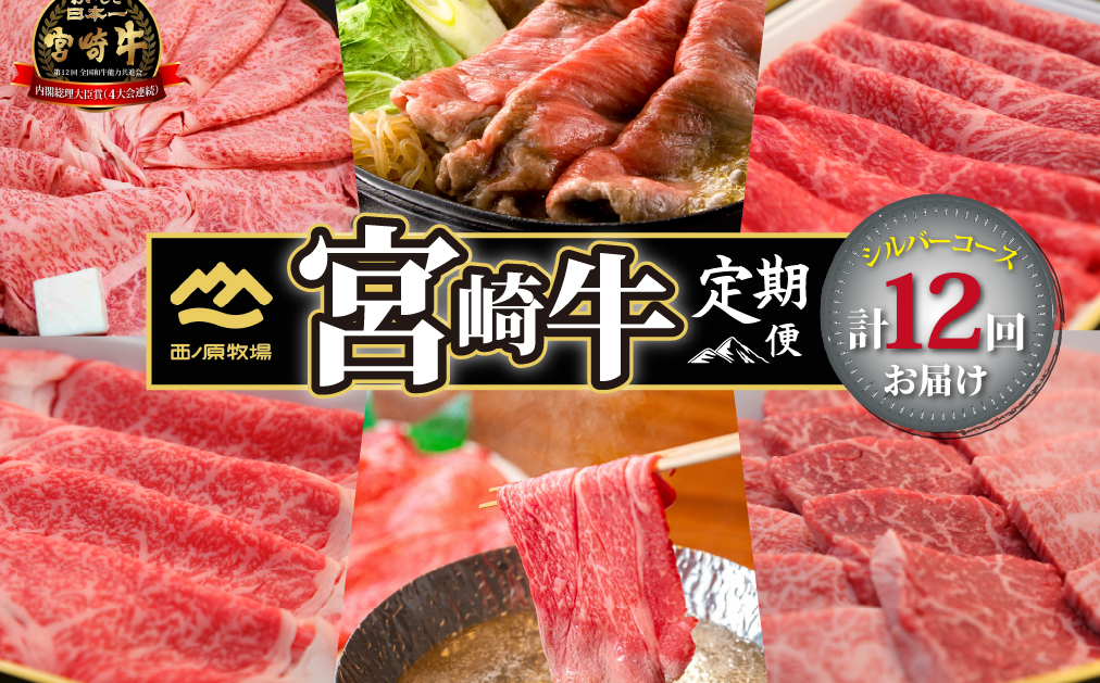 【定期便・全12回】西ノ原牧場直送 宮崎牛シルバーコース（肉定期便 黒毛和牛 和牛 赤身 霜降り ブランド牛 ステーキ 焼肉 すき焼き スライス 定期便 宮崎県 小林市 ）