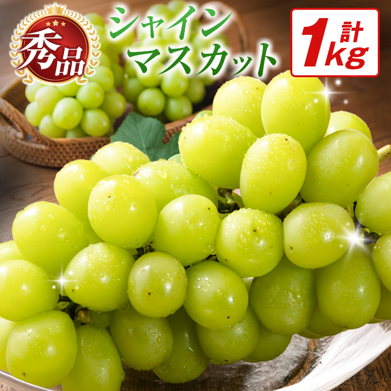 【令和8年発送 先行予約】小林市産 シャインマスカット 1kg（ブドウ ぶどう シャインマスカット マスカット フルーツ 果物 先行受付 限定）
