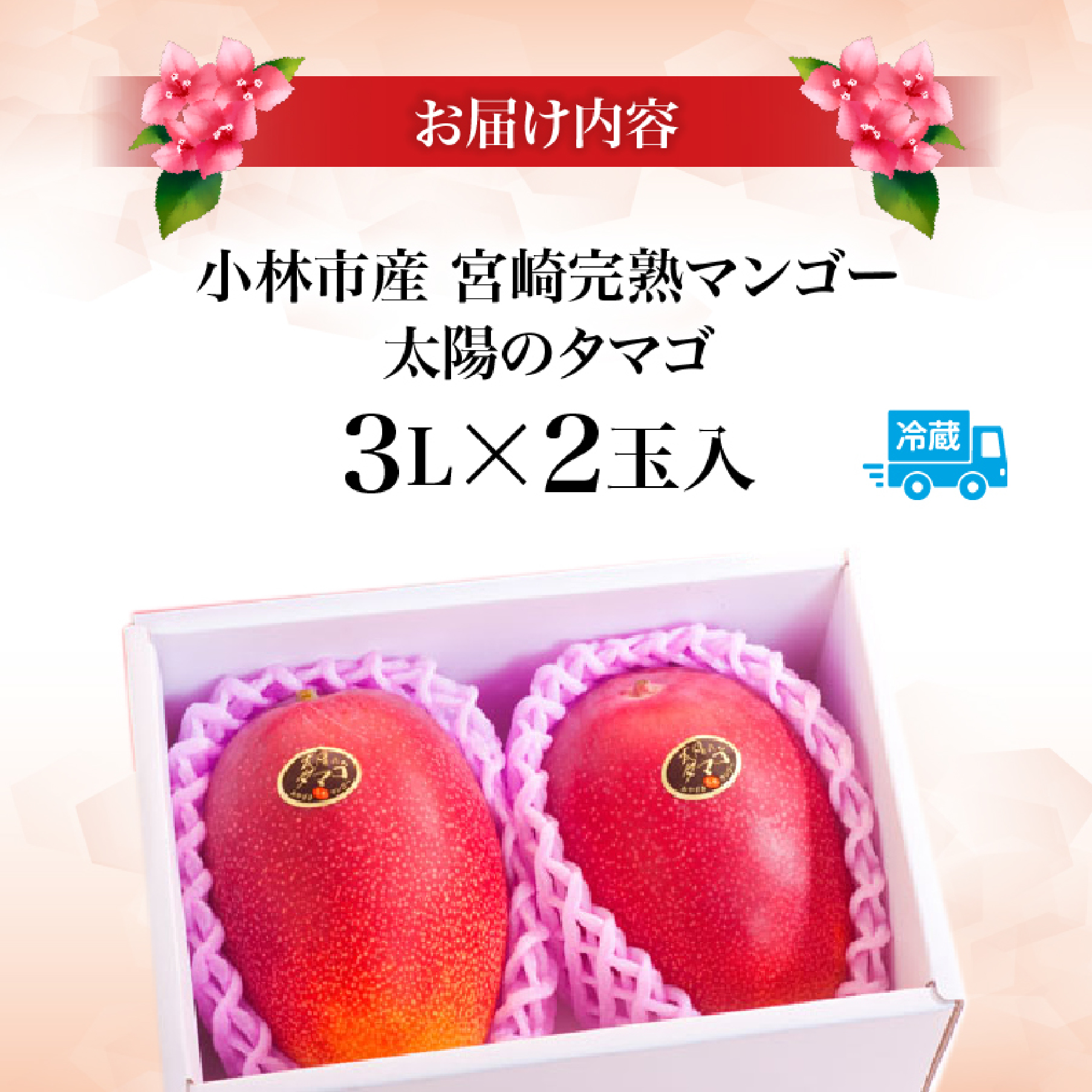 【数量限定・先行受付】厳選大玉宮崎完熟マンゴー「太陽のタマゴ」 2玉　計1kg程度（マンゴー フルーツ マンゴー予約 先行予約 2026 太陽のタマゴ 宮崎 小林市 果物 人気）